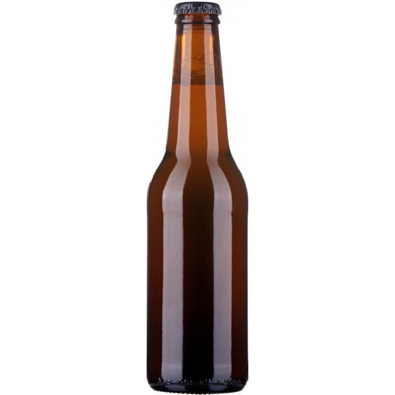 Stappa con la BANDA - 6X Pilsner - DENVER, RIO, STOCCOLMA, NAIROBI, LISBONA, OSLO