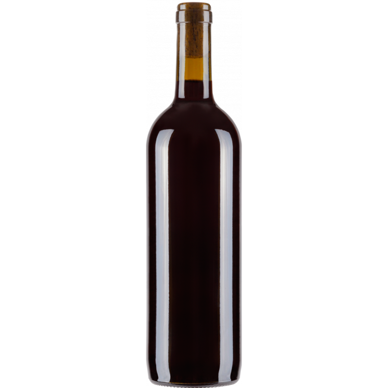 Venezia Merlot DOC โ 2 bottiglie con etichetta personalizzata idea regalo per la festa della mamma