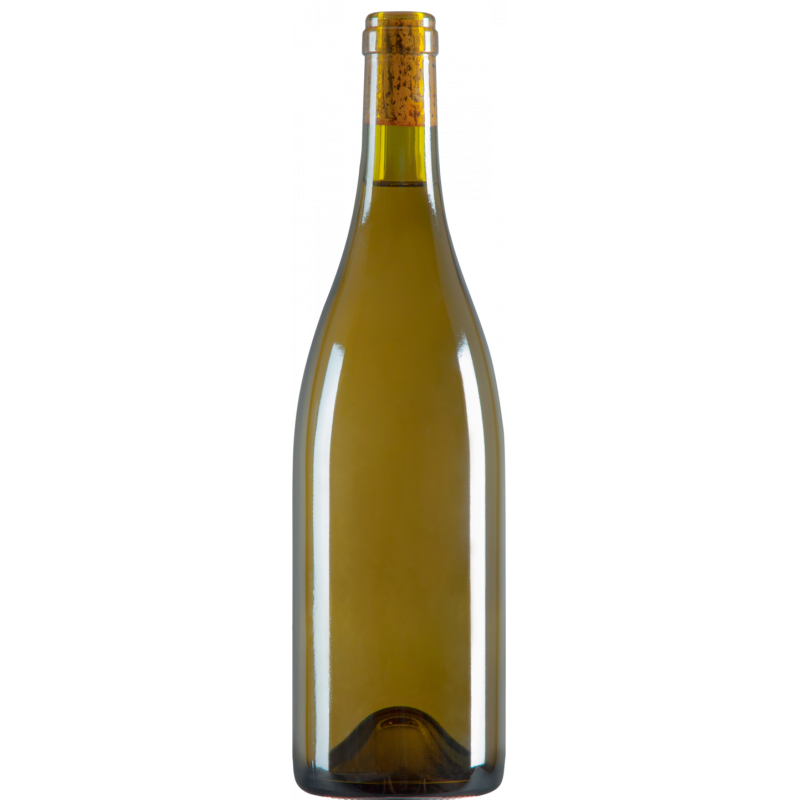 Bolgheri Vermentino Doc – bottiglia con etichetta personalizzata idea regalo per la festa della mamma