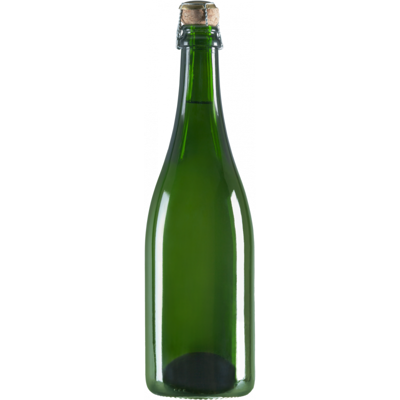 MAGNUM Prosecco personalizzato con etichetta per la festa del papร