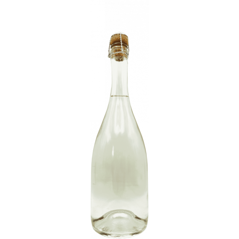 SPUMANTE ANALCOLICO PERSONALIZZATO - Idea regalo per battesimo, nascita o baby shower