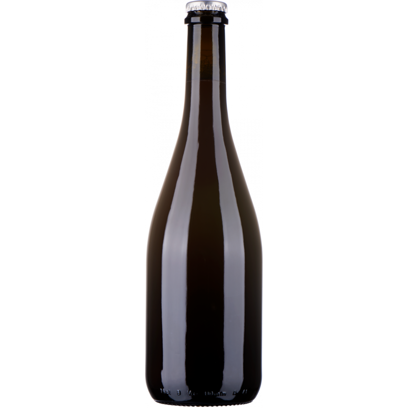 Bottiglia personalizzata - Amber Ale - Birra da regalare a Natale per auguri originali