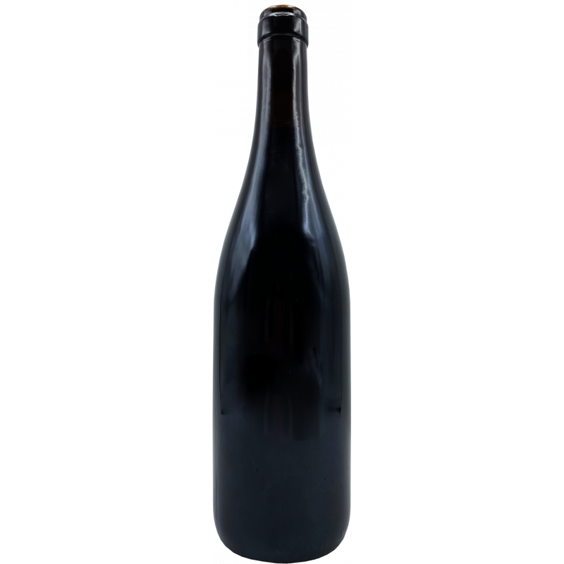 Lambrusco dolce - Bottiglia personalizzata per auguri di Natale